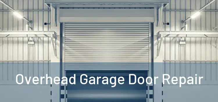  Overhead Garage Door Repair 